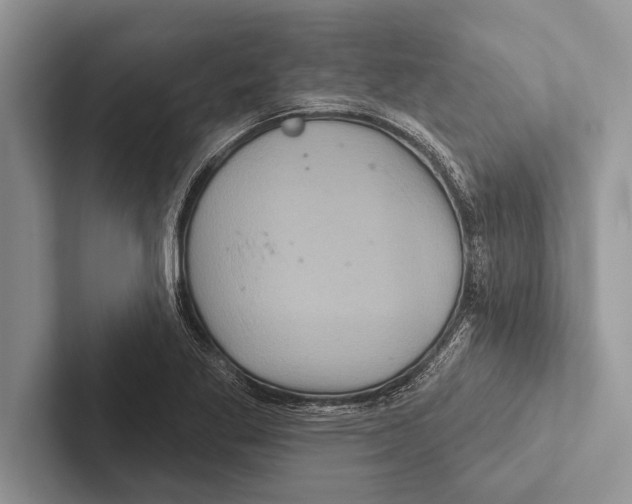 X0000102541269200809051525