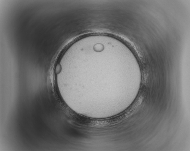 X0000102541271200809051525