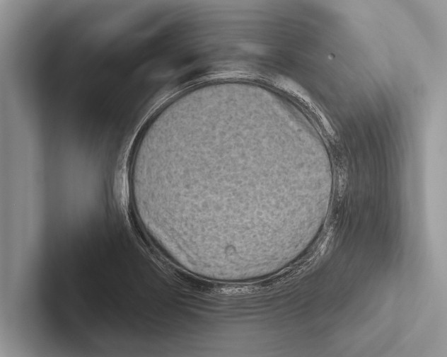 X0000102541274200809051525