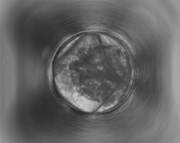 X0000102541275200809051525