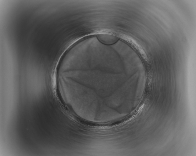 X0000102541276200809051525