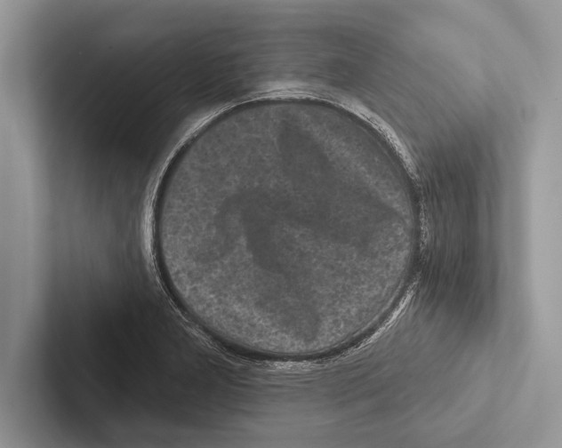 X0000102541277200809051525