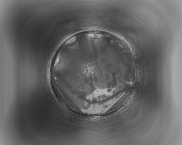 X0000102541279200809051525