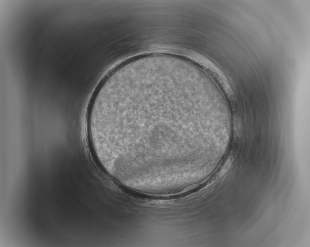X0000102541280200809051525