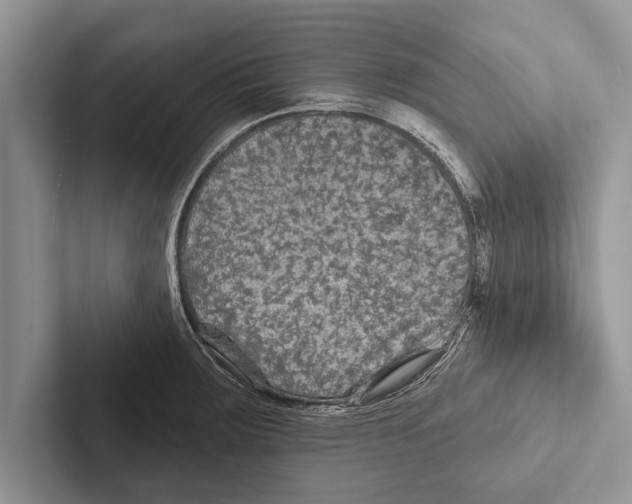 X0000102541283200809051525