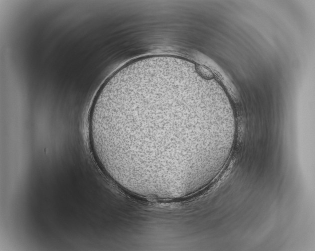 X0000102541284200809051525