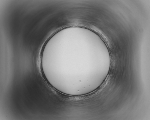 X0000102541286200809051525