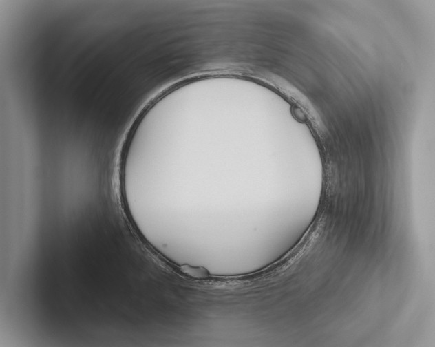 X0000102541288200809051525