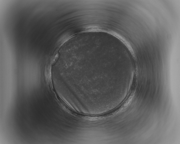 X0000102541289200809051525