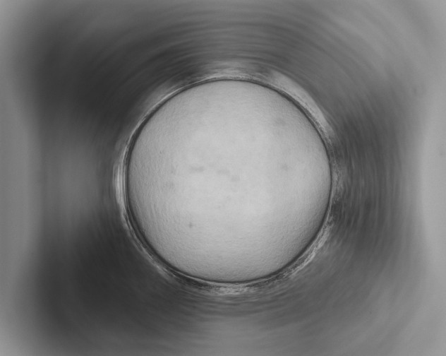 X0000102541290200809051525