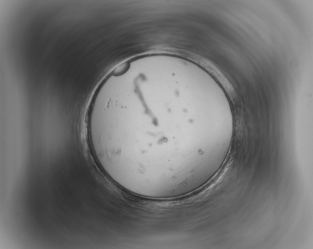 X0000102541292200809051525