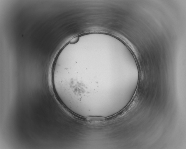 X0000102541293200809051525