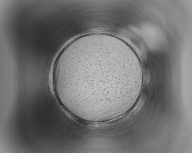 X0000102541294200809051525