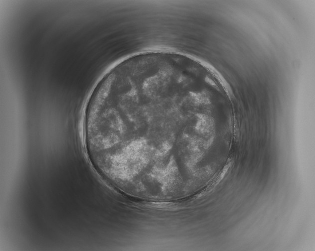 X0000102541295200809051525