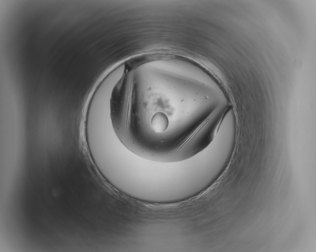 X0000102541296200809051525