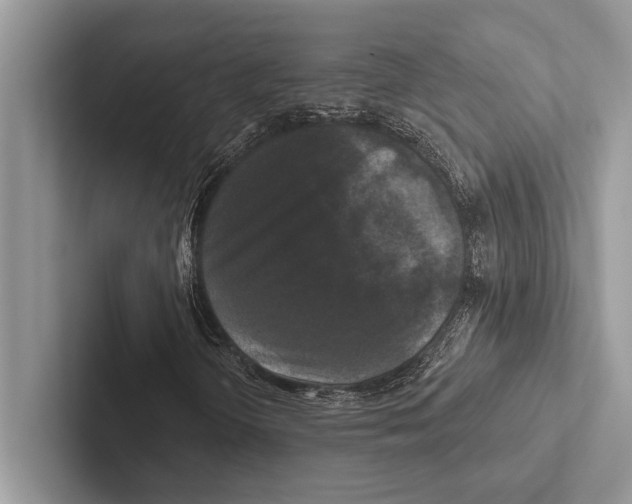 X0000102541298200809051524