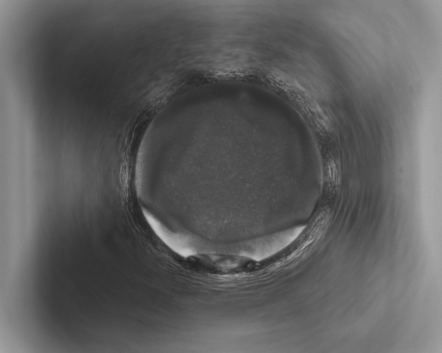 X0000102541300200809051524