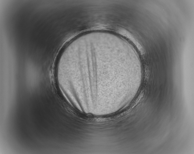 X0000102541308200809051524