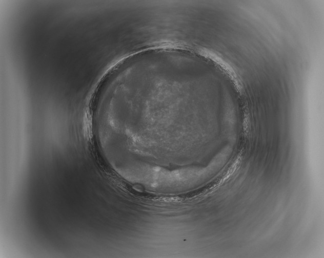 X0000102541310200809051524