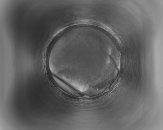 X0000102541312200809051524