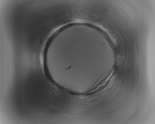 X0000102541319200809051525