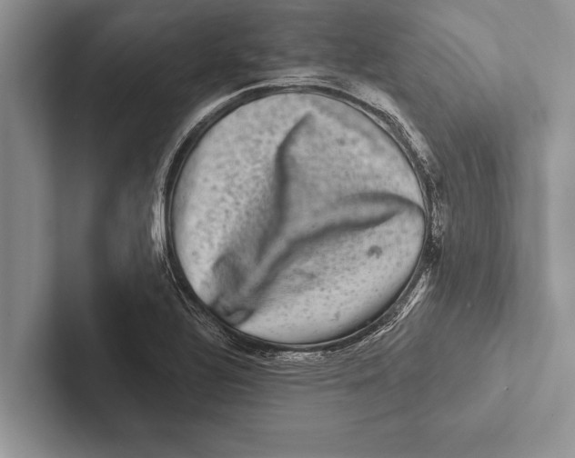 X0000102541320200809051525