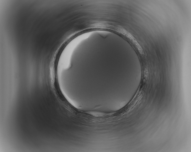 X0000102541323200809051525