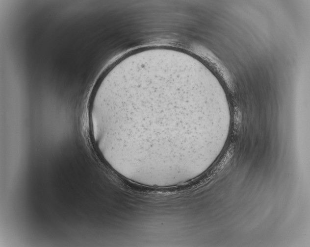 X0000102541324200809051525