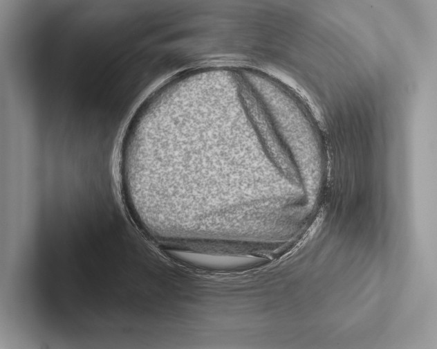 X0000102541325200809051525