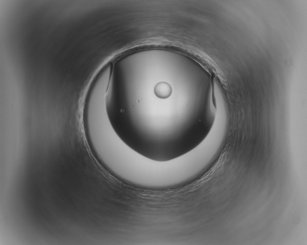 X0000102541326200809051525