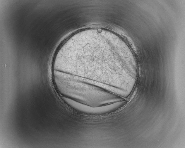 X0000102541328200809051525