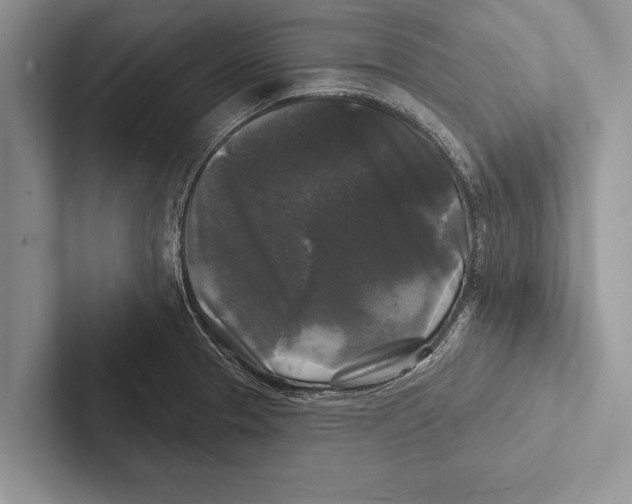 X0000102541329200809051525