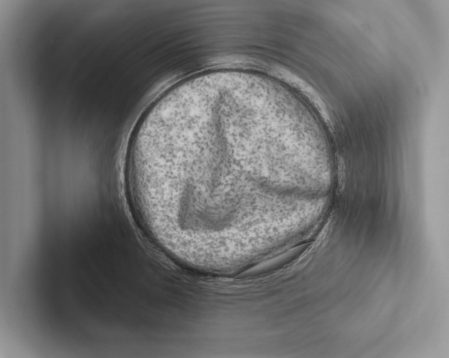 X0000102541330200809051525