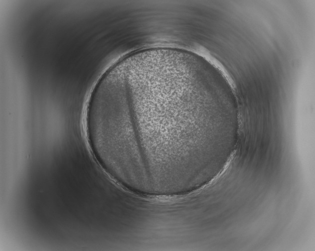 X0000102541333200809051525