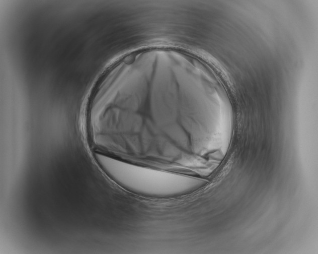 X0000102541334200809051525