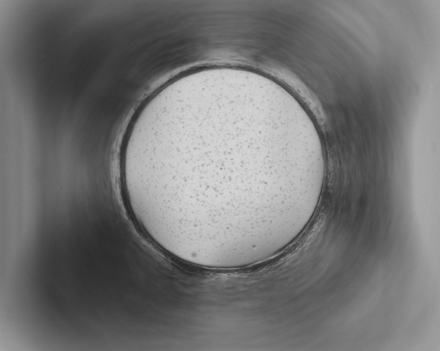 X0000102541335200809051525