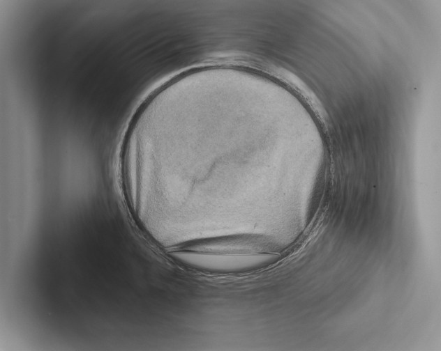 X0000102541336200809051525