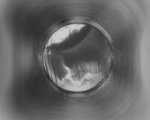 X0000102541337200809051525