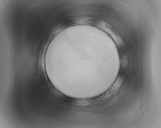 X0000102541338200809051525