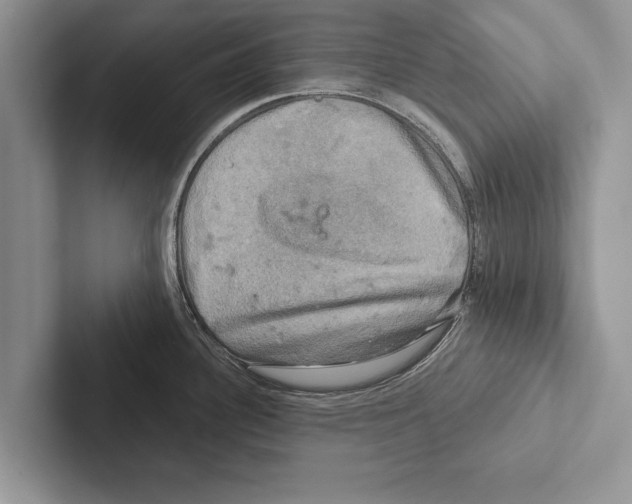 X0000102541340200809051525