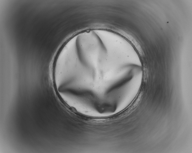 X0000102541342200809051525