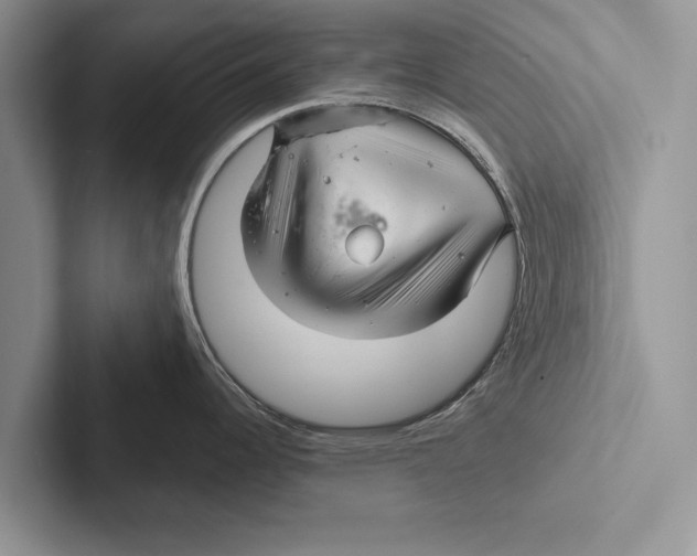 X0000102541344200809051525