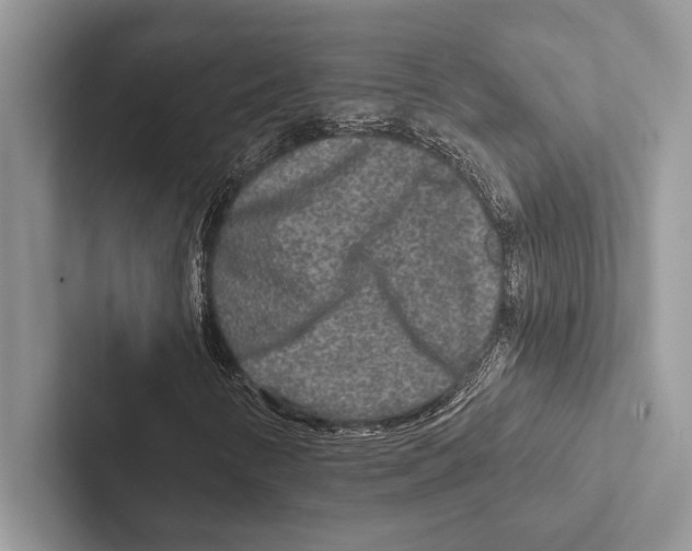 X0000102541346200809051524