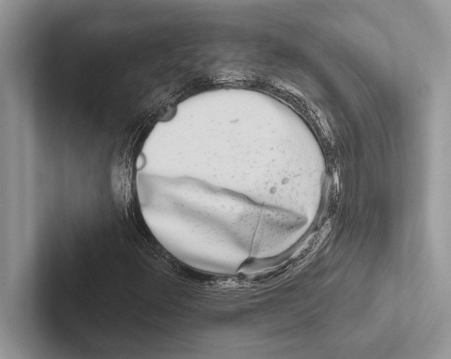 X0000102541348200809051524