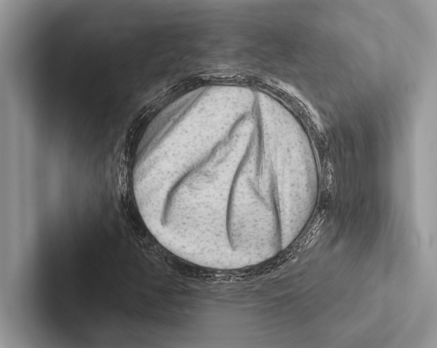 X0000102541350200809051524