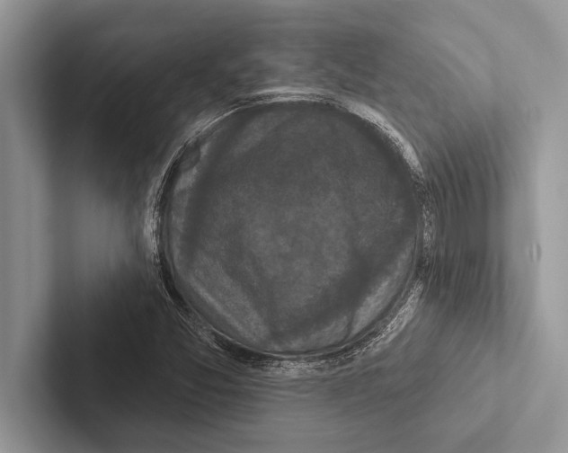 X0000102541357200809051524