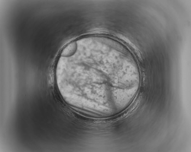 X0000102541358200809051524