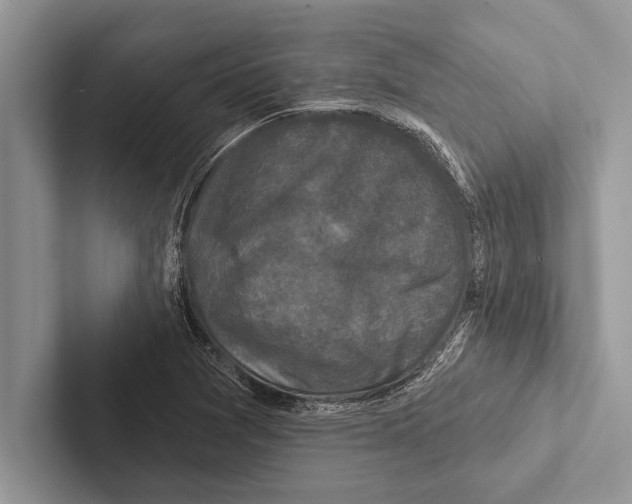 X0000102541361200809051524