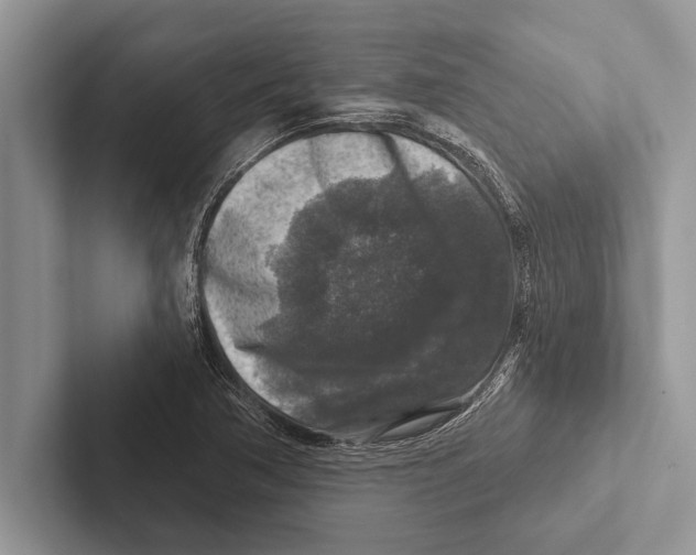 X0000102541362200809051524