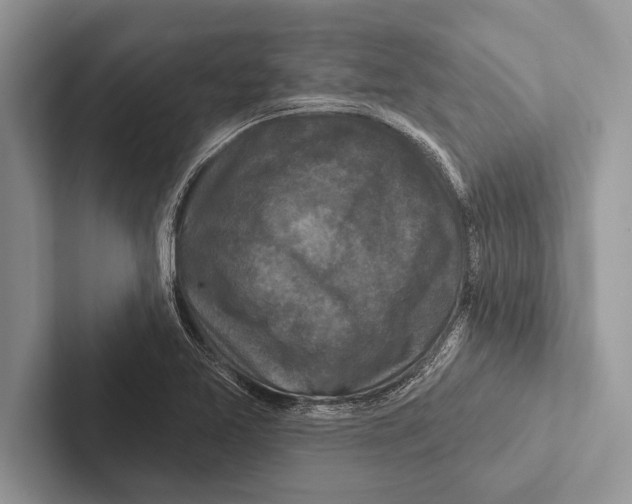 X0000102541365200809051524